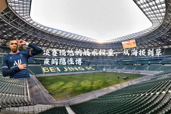 决赛场地的战术权重：从海拔到草皮的隐性博弈